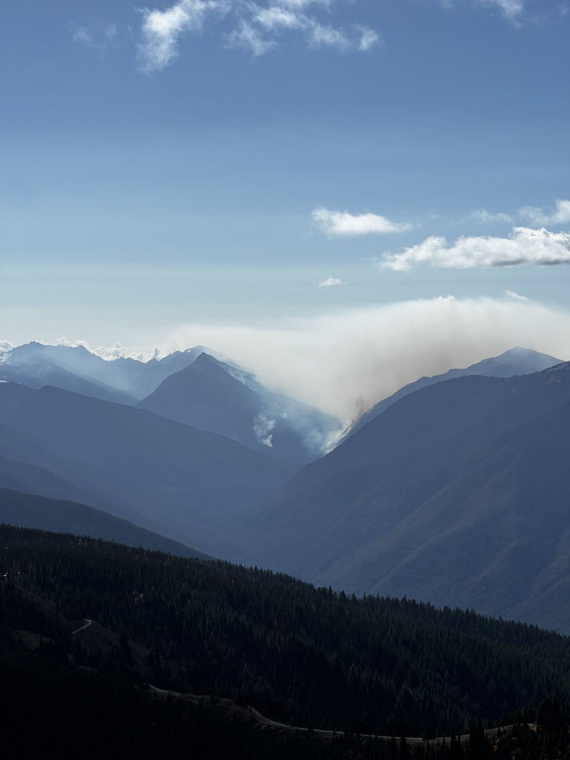 Olympic NP 